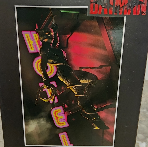 Catwoman DC Multiverse - Picture 4 of 7